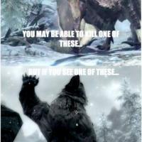 In Skyrim that’s just how it works 200x200