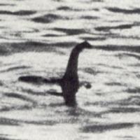 The Photo of Loch Ness Monster 200x200