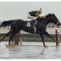 Seattle Slew 200x200