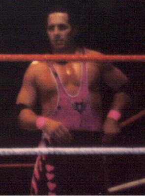 Bret The Hitman Hart 1 100x100