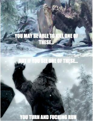 In Skyrim that’s just how it works 1 100x100