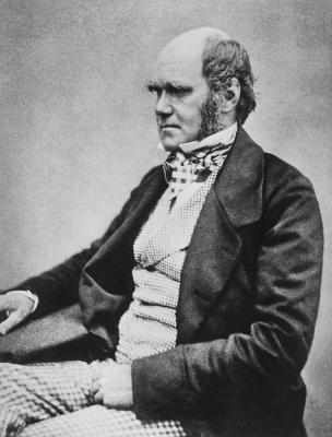Charles Darwin 1 100x100