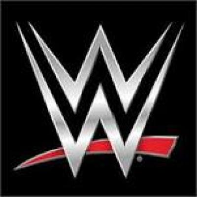 Best WWE Wrestlers of 2017 400x400