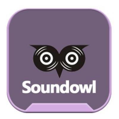 soundowl.com 1 100x100