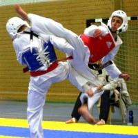 Taekwondo 200x200
