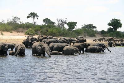Kavango Zambezi, surface: 287.132 km2 1 100x100