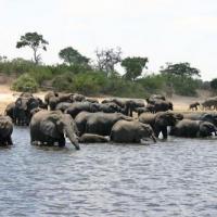 Kavango Zambezi, surface: 287.132 km2 200x200