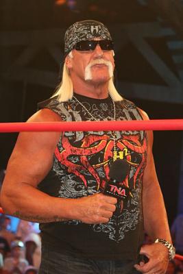Hulk Hogan 1 100x100