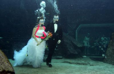 Underwater Wedding 1 100x100