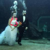 Underwater Wedding 200x200
