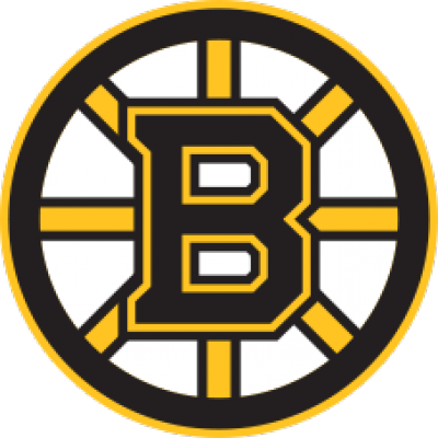Boston Bruins 1 100x100