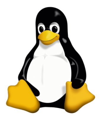 Linux 1 100x100