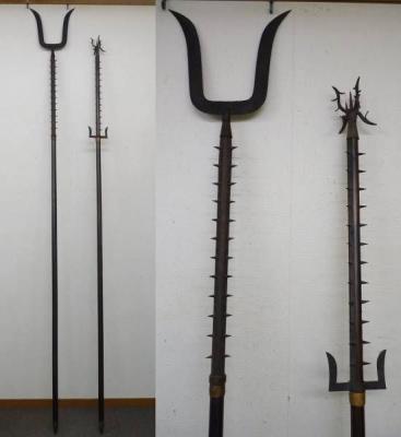The Polearms of Capture 1 100x100
