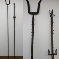 The Polearms of Capture 200x200