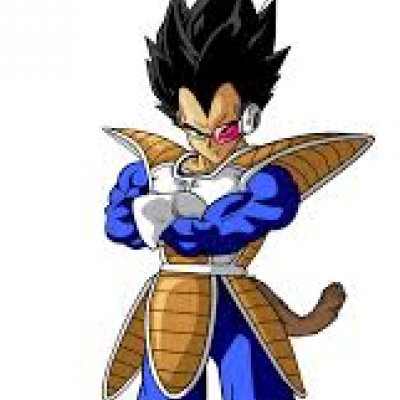 dragon ball z characters vegeta