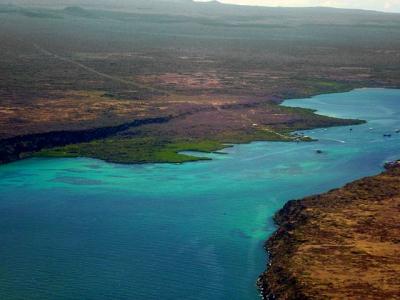 Galápagos Marine Reserve ,surface: 133.000 km2 1 100x100
