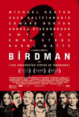 Birdman (Edward Norton Movie)  1 100x100
