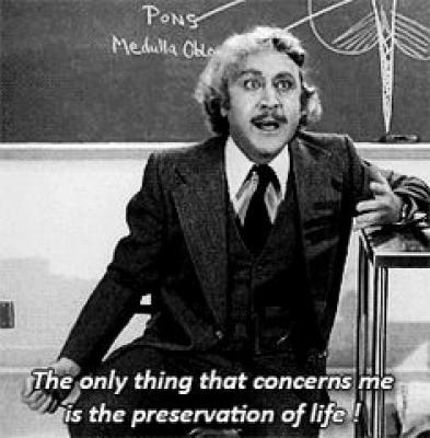 Best Young Frankenstein Quotes 393x400